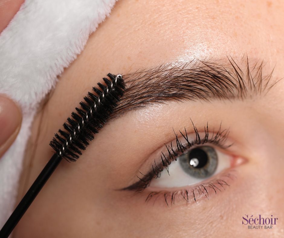 Sechoir Beauty Bar - brow color in Vienna VA