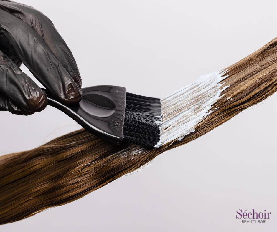 Sechoir Beauty Bar - Highlights in Vienna VA