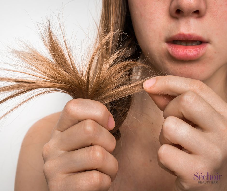 Sechoir Beauty Bar - hair salon in Vienna, VA, for damaged hair